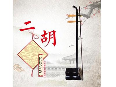 招聘凉山二胡家教老师